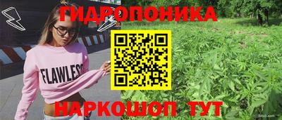mdpv Краснознаменск